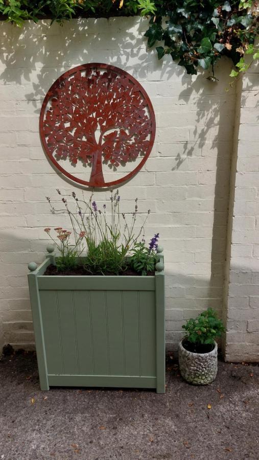 Bed and Breakfast Aroha Glastonbury Exterior foto